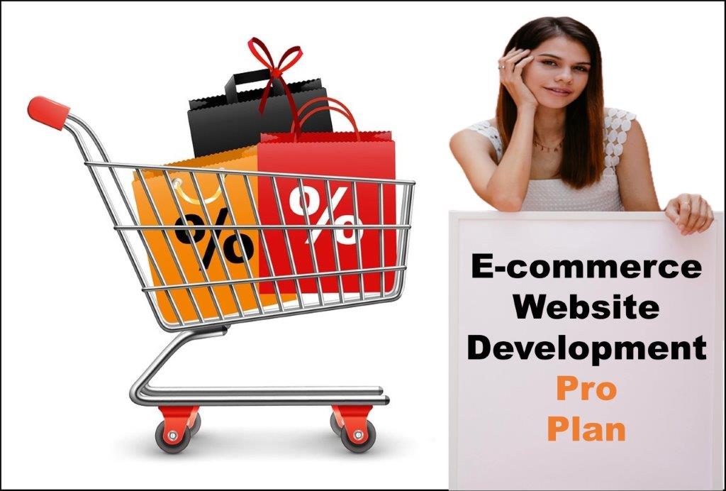 professional ecommerce website development agency in Oklahoma City Oklahoma